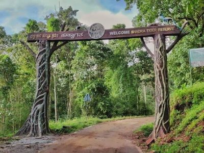 Bhadra Wildlife Sanctuary